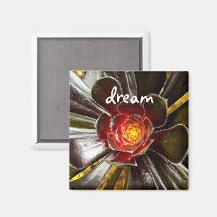 Íman Script Moderno de Cactus Photo Dream de Cota Preto