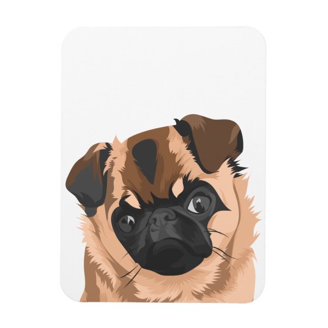 Íman Scully Magnet (Vertical)