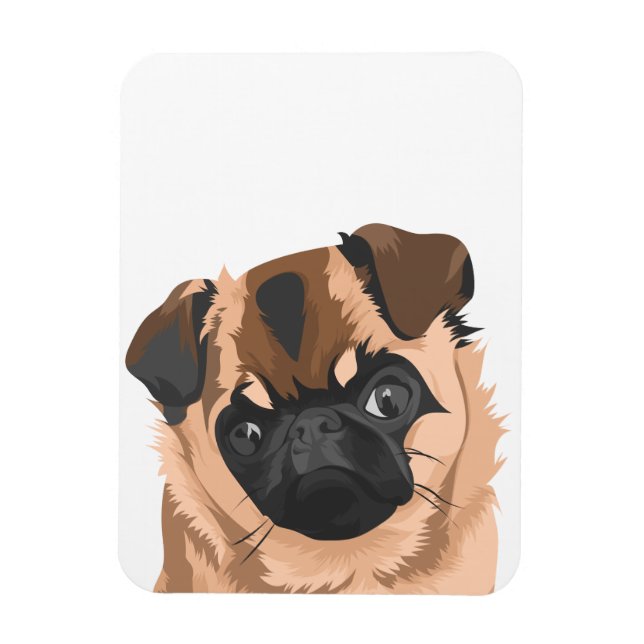 Íman Scully Magnet (Vertical)
