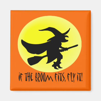 Íman Se a vassoura ajustado, voe!