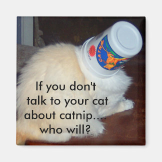 Íman Se você não falar com seu gato sobre catnip...quem