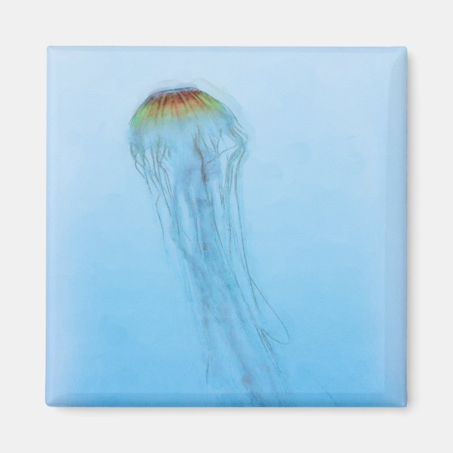 Íman Sea Nettle (Frente)