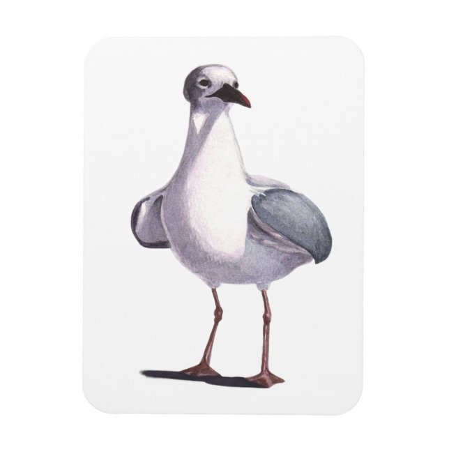 Íman Seagull (Vertical)