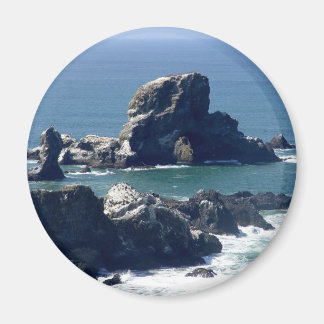 Íman Seal Rock Ecola State Park Oregon Coast Magnet