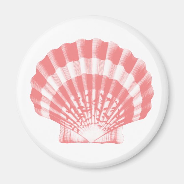 Íman Seashell - coral rosa e branco (Frente)