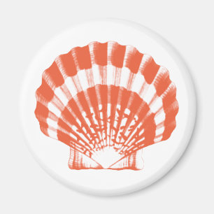 Íman Seashell - laranja e branco de coral