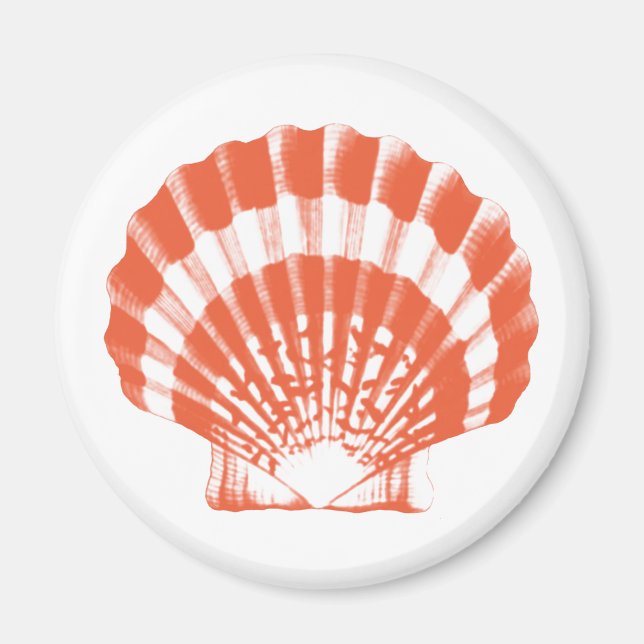Íman Seashell - laranja e branco de coral (Frente)