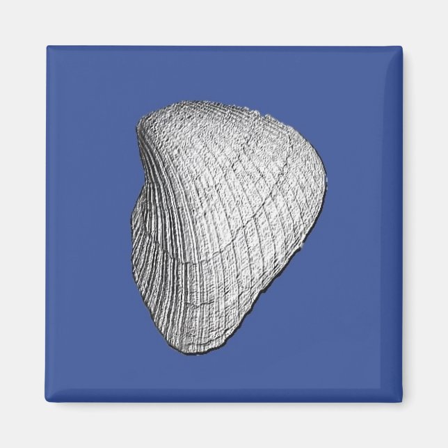 Íman Seashell Magnet (Frente)