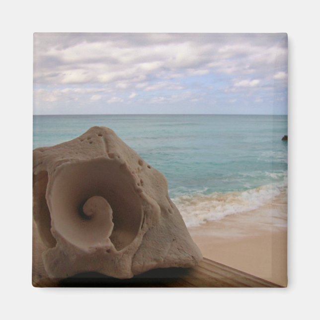 Íman Seashell na Foto de Praia (Frente)