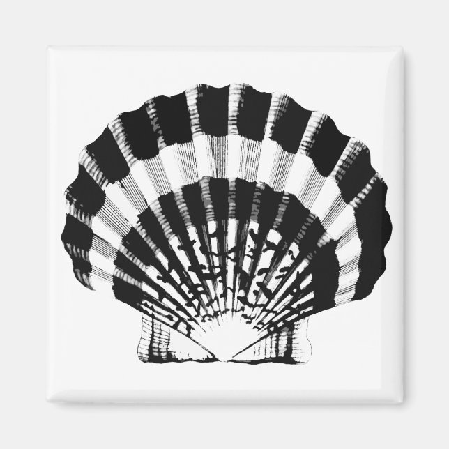 Íman Seashell - preto e branco (Frente)