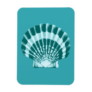 Íman Seashell - Sombras de azul lacrimogêneo