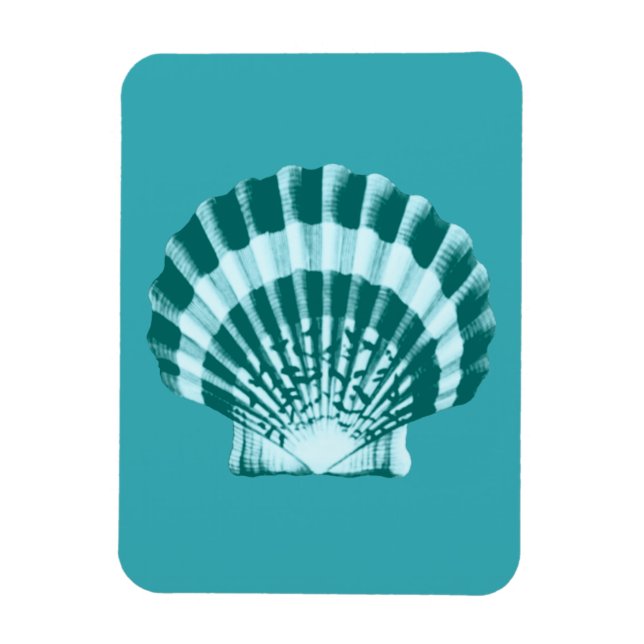 Íman Seashell - Sombras de azul lacrimogêneo (Vertical)