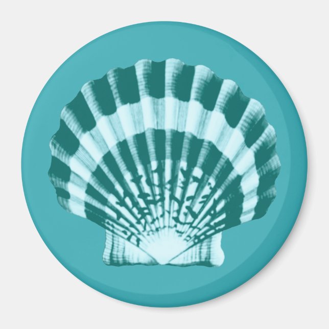 Íman Seashell - Sombras de azul lacrimogêneo (Frente)