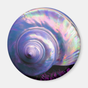 Íman Seashell tropical opal mãe de pérola parece roxa