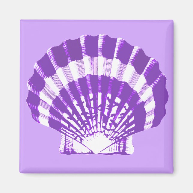 Íman Seashell - violeta e branco (Frente)