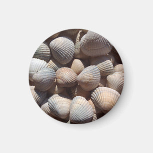 Íman Seashells Beach, Verão Holiday Magnet