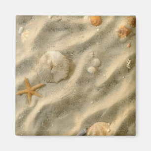 Íman Seashells na areia
