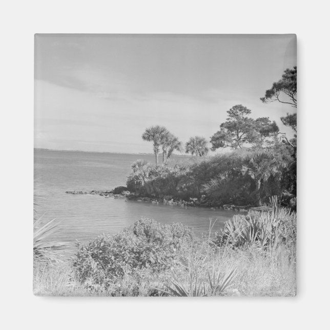 Íman Seashore (Frente)