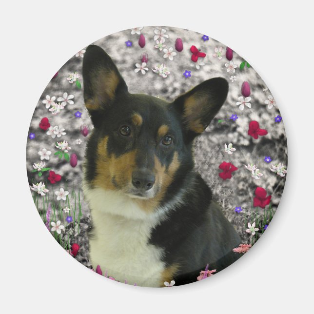 Íman Sebastian the Welsh Corgi in Flowers (Frente)
