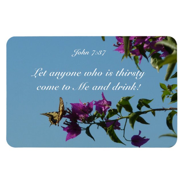 Íman Sede Swallowtail (Horizontal)