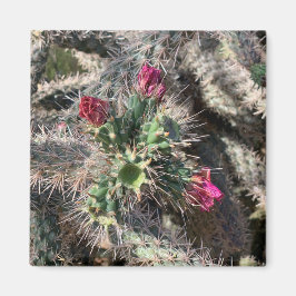 Íman Sedona Pink Cactus Bloert Magnet