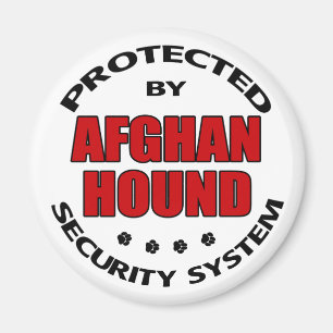 Íman Segurança de Caça Afegã