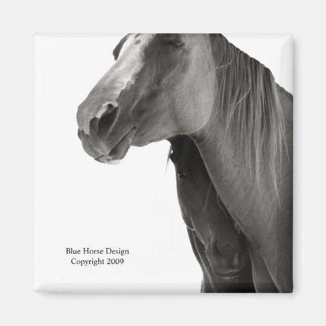 Íman Segurança e conforto (Frente)