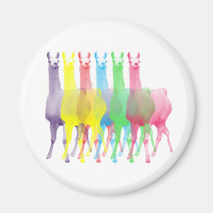 Íman seis Lamas em seis cores do lama
