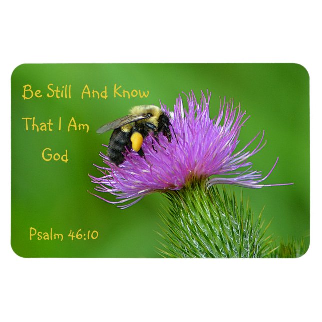 Íman Seja Bumblebee (Horizontal)