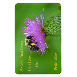 Íman Seja Bumblebee