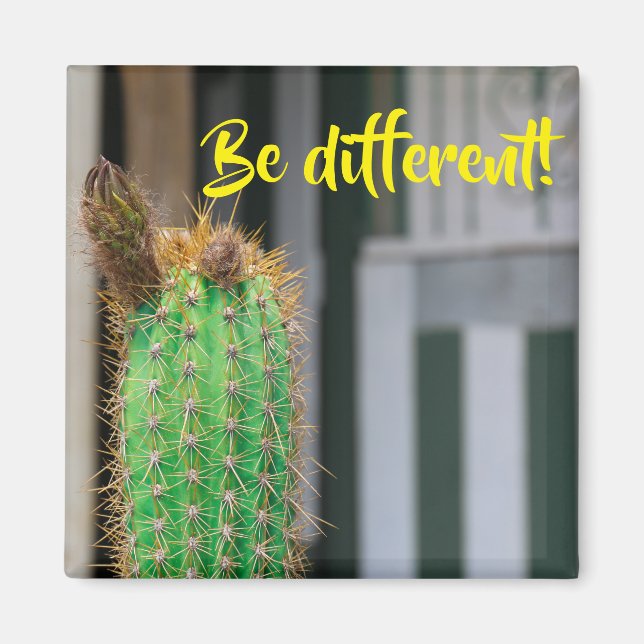 Íman Seja diferente do ímã Inspiração Cactus (Frente)