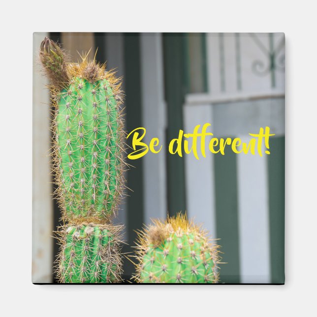 Íman Seja diferente do ímã Inspiração Cactus (Frente)
