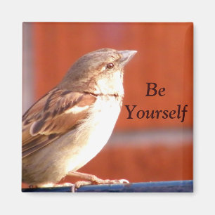 Íman Seja ímã de Yourself_