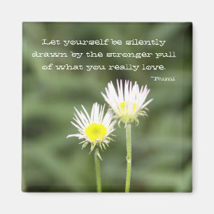 Íman Seja ímã tirado