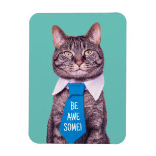 Íman "SEJA INCRÍVEL!" Gato com Gravata Azul, Turquesa,