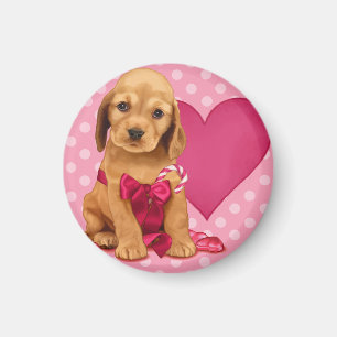 Íman Seja meus namorados cocker spaniel