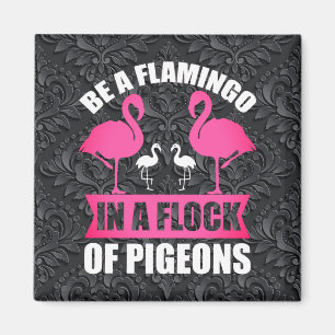 Íman Seja um Flamingo em um Bando de Pombos