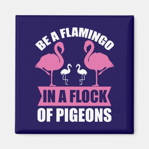 Íman Seja Um Flamingo Em Um Bando De Pombos-18716