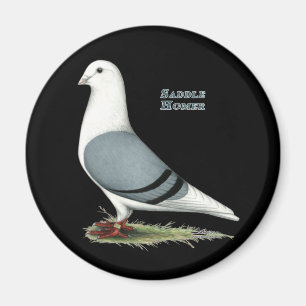 Íman Sela azul do local