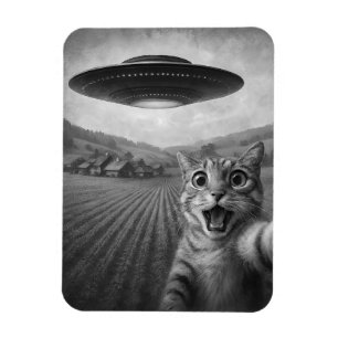 Íman Selfie De Gato Com Presentes De Gato Engraçado De