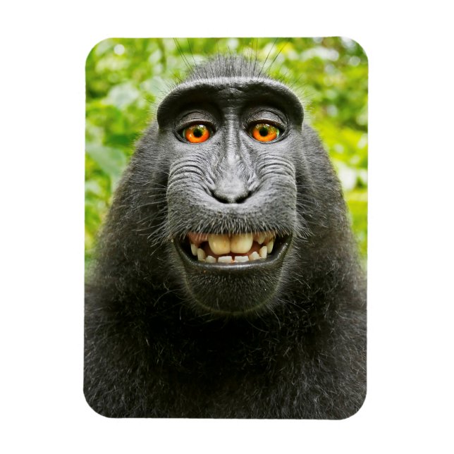 Íman Selfie de Macaco (Vertical)