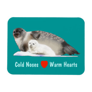 Íman Selo de anéis