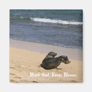 Íman Selo psto em perigo Kauai Havaí da monge