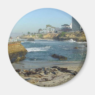 Íman Selos na areia na angra de La Jolla
