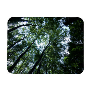 Íman Selva 3"" ímã x4