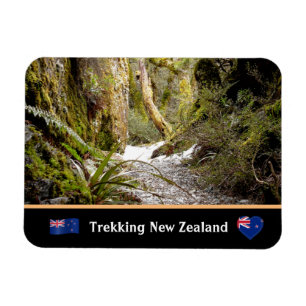 Íman Selva de fadas, Kiwi trekking/Nova Zelândia