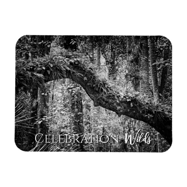 Íman Selvagens de Celebração (Horizontal)
