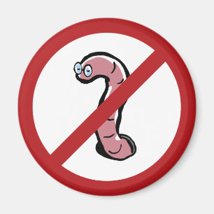 Íman sem buraco de verme