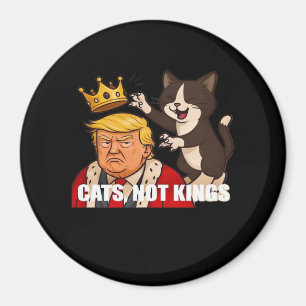 Íman Sem Reis Anti Gatos Estilo Clássico Divertido