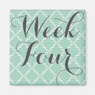 Íman Semana Quatro Magnetos